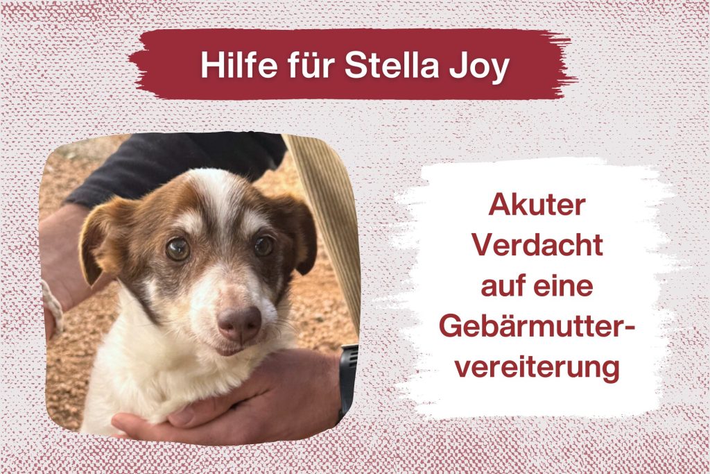 Ein Herz für Senioren – Hilfe für unsere Grande Dame