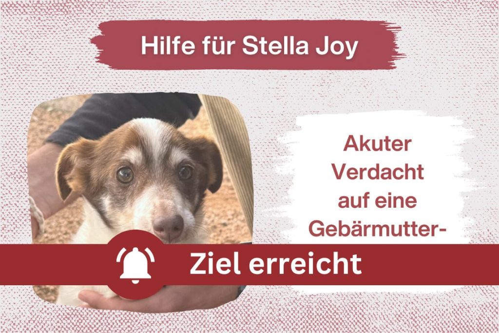 Ein Herz für Senioren – Hilfe für unsere Grande Dame