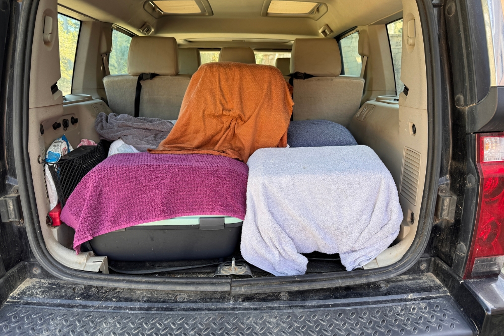 Umsetzkäfige und Katzenfallen