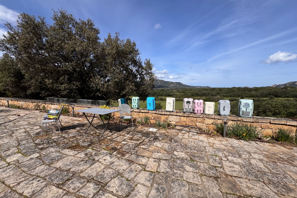 Umsetzkäfige und Katzenfallen