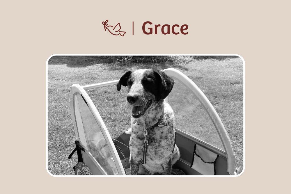 In liebevoller Erinnerung an Grace