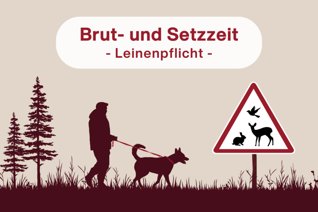 Leinenpflicht in der Brut- und Setzzeit 2026