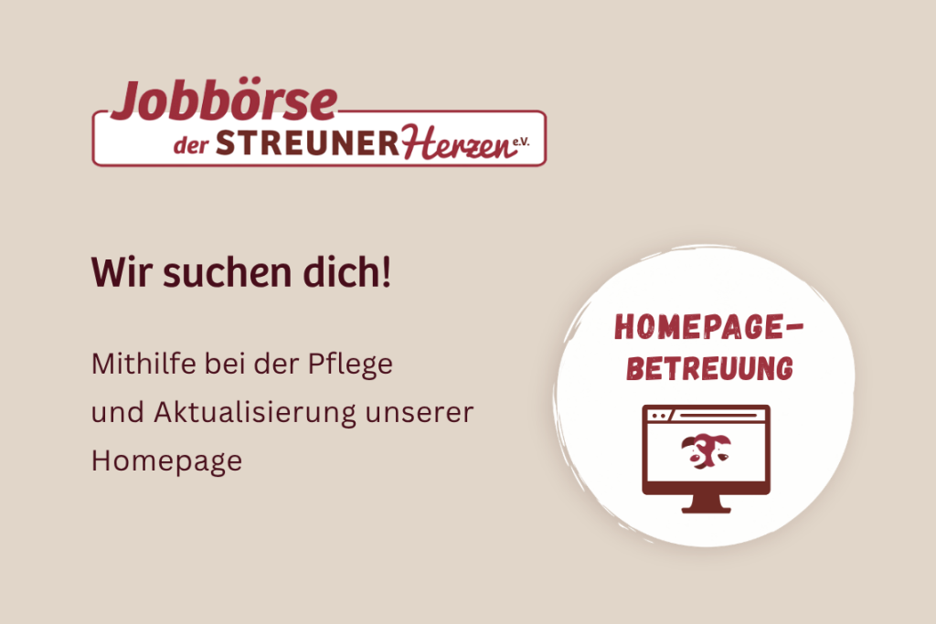 Homepagebetreuung – Werde Teil unseres Teams