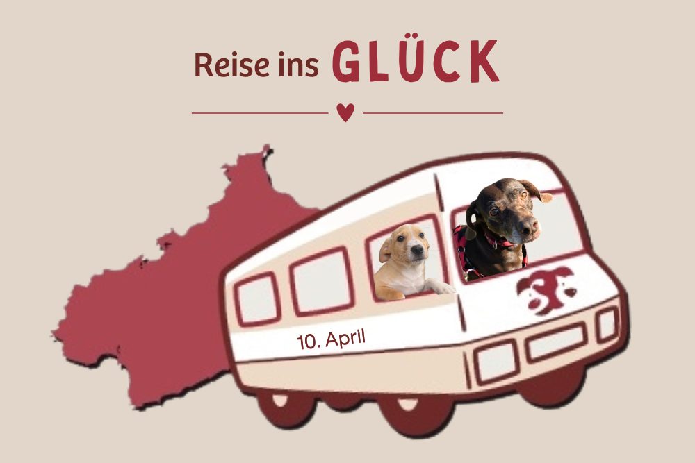Wir verlassen das Tierheim am 10. April