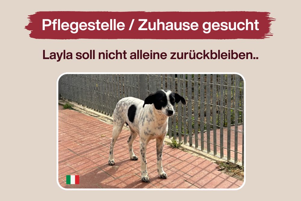 Auch für Layla kann sich alles ändern…