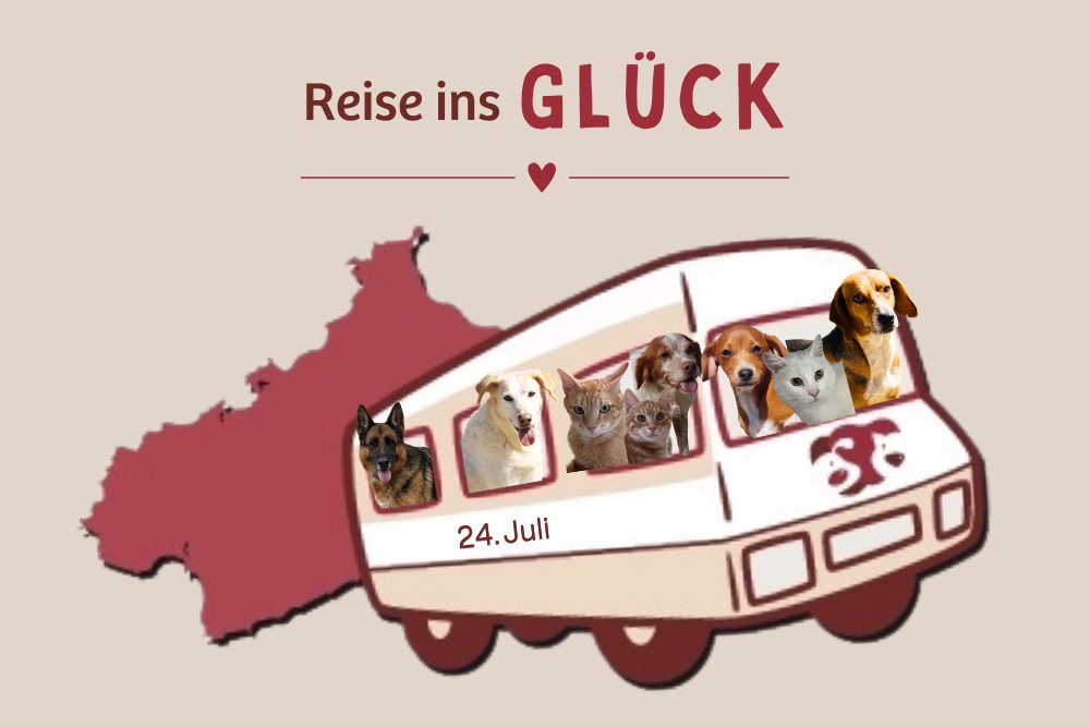 Wir verlassen das Tierheim am 24. Juli