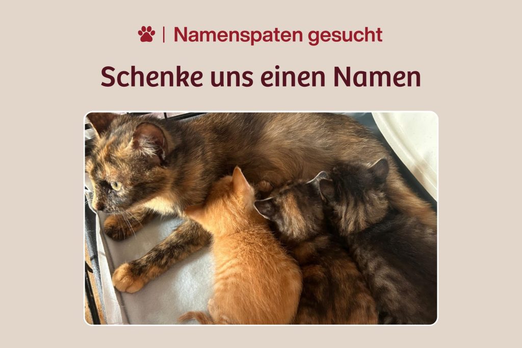 Eine Familie ohne Namen – Schenkst du ihnen einen?