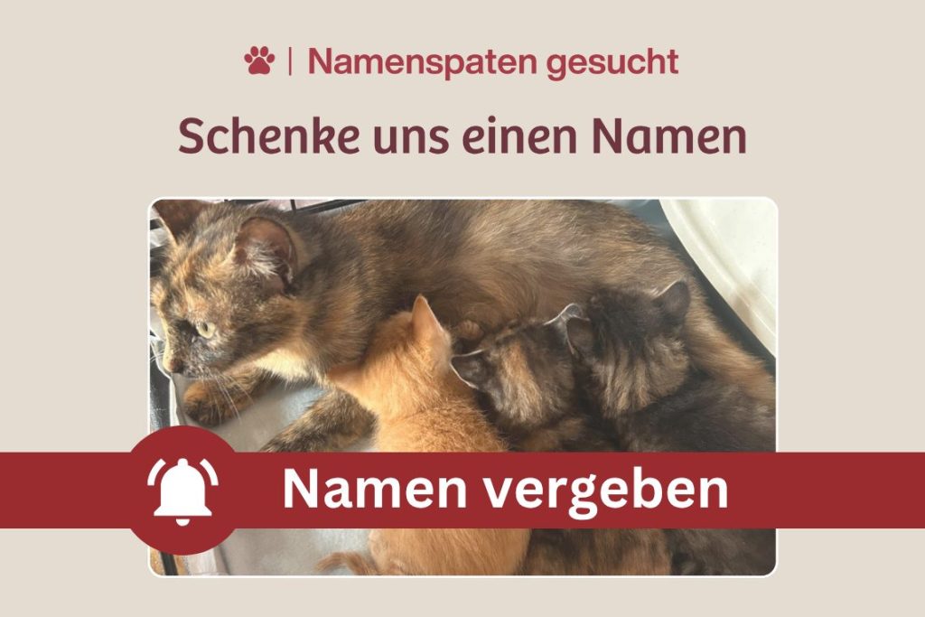 Eine Familie ohne Namen – Schenkst du ihnen einen?