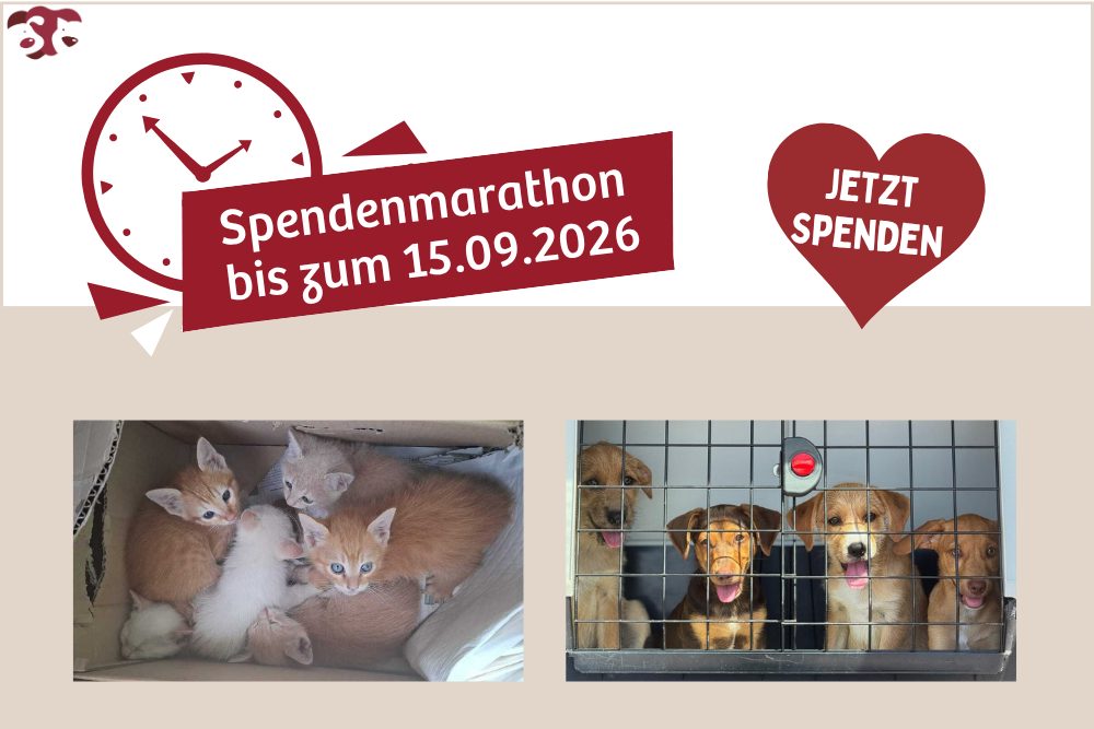 Prävention kennt keine Sommerpause