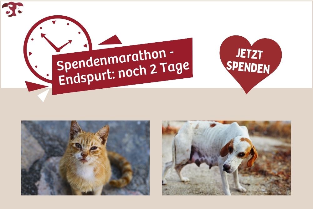 Prävention kennt keine Sommerpause