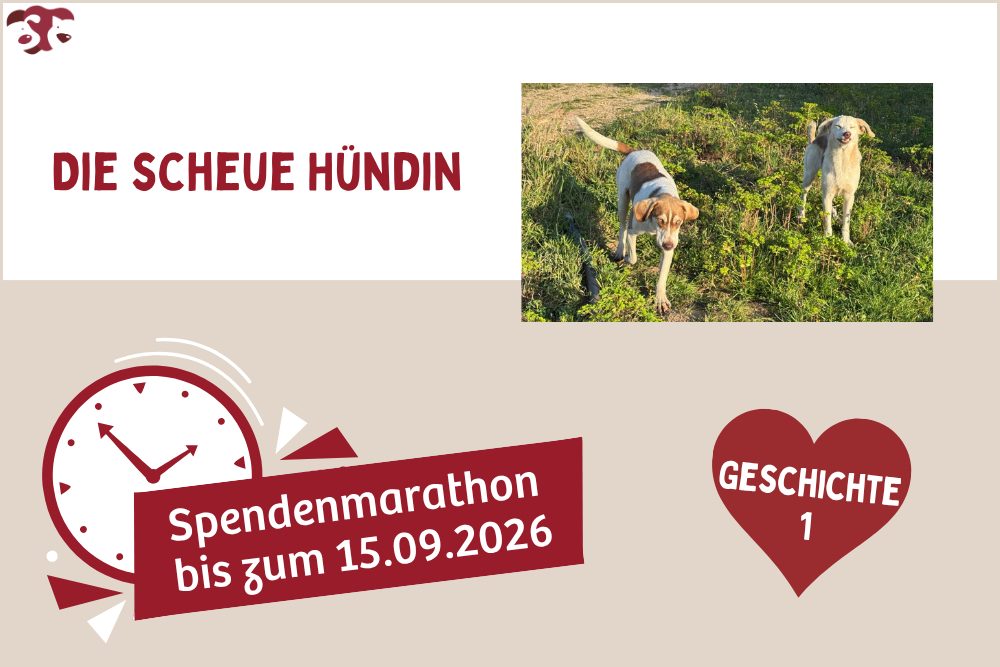 Sie hatte gelernt, vorsichtig zu sein