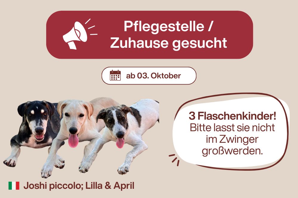 3 Flaschenkinder – Sie wollen wirklich leben!