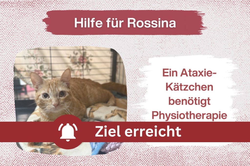 Rossina – Sie hat eine große Chance