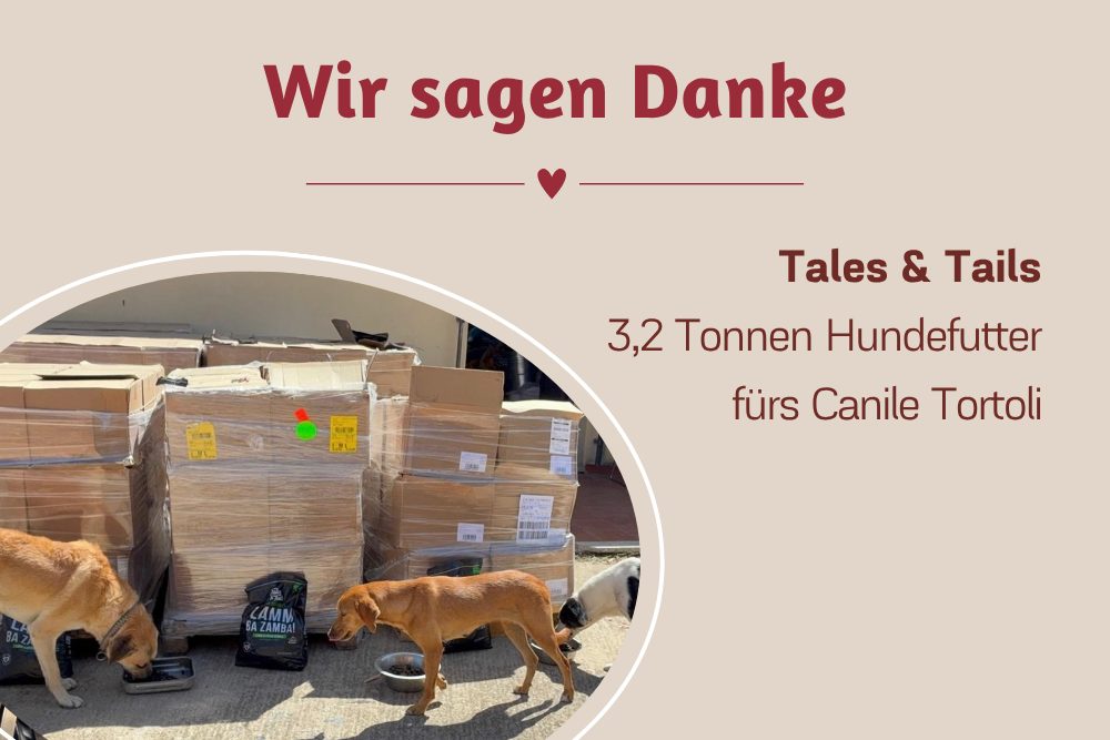 Über 3 Tonnen Futter für unsere Hunde – Danke, Tales & Tails!