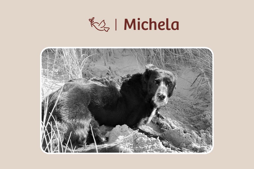 Michela – Geliebt und unvergessen